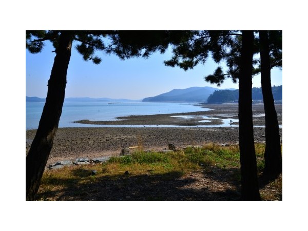 충남_서산벌천포오토캠핑장_1.JPG?type=m500_500