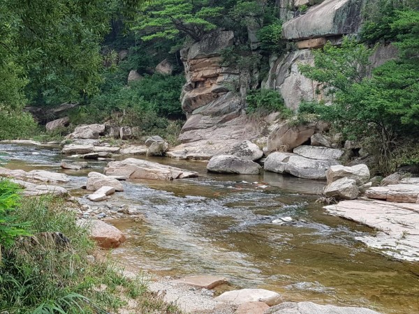 20170722_134451.jpg