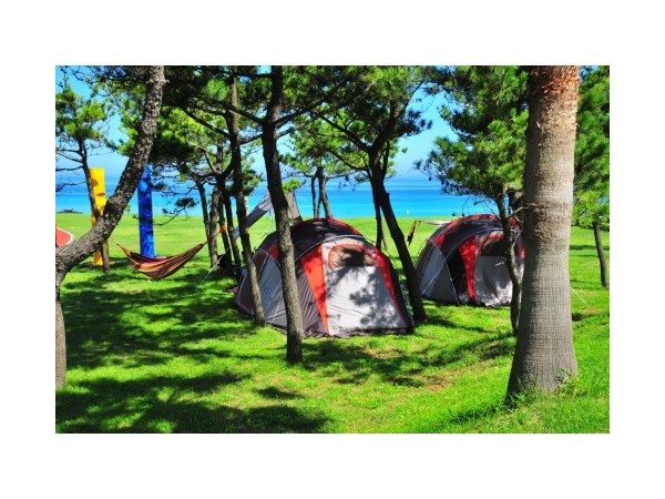 제주_모구리야영장_3.jpg?type=m500_500