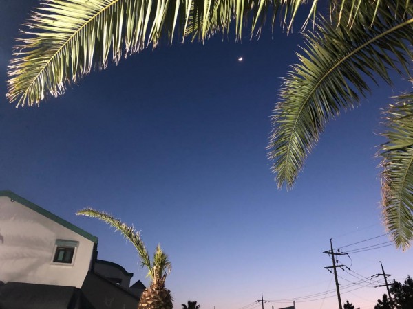 KakaoTalk_20180426_134340011.jpg