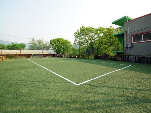 6587-7.jpg