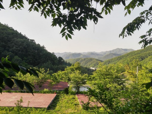 _20180528_175025_HDR.jpg