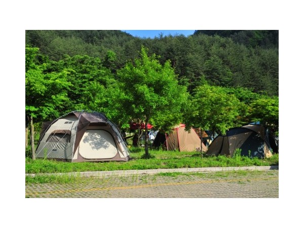 강원_오대산소금강오토캠핑장_2.jpg?type=m500_500