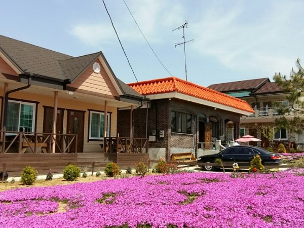 KakaoTalk_20150417_222102029.jpg