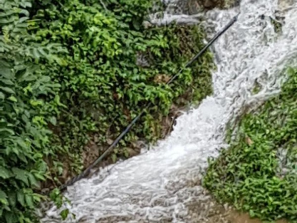 8aRSHlfYhti38W1QDvQ379QA.jpg