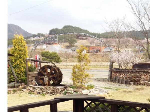 20180417_151543.jpg
