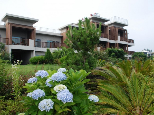 eco_view_may_1.JPG