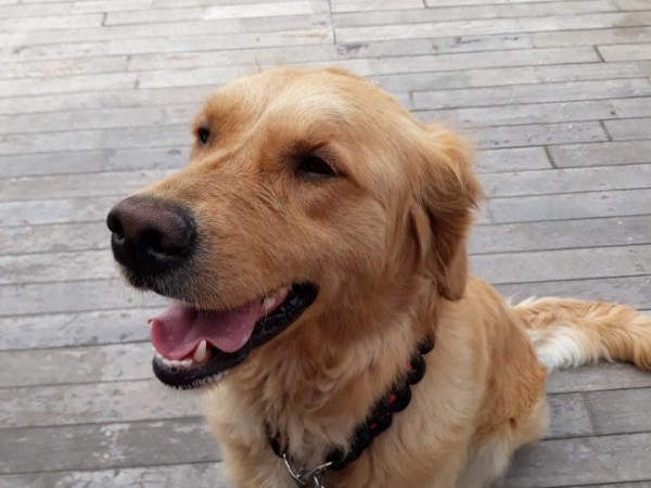 KakaoTalk_20180426_134342433.jpg