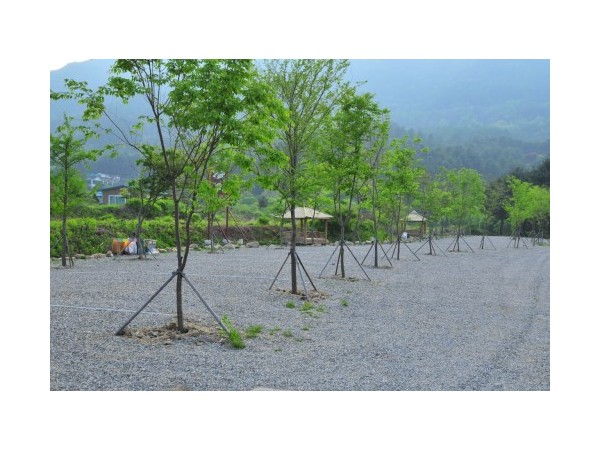 경기_은석오토캠핑장_3.jpg?type=m500_500