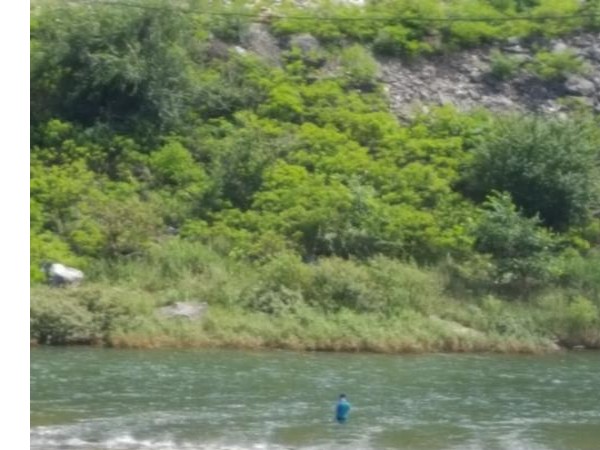 20170730_134736.jpg