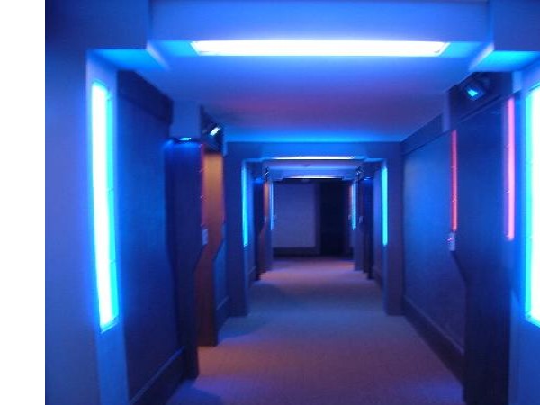 11856825_4.jpg