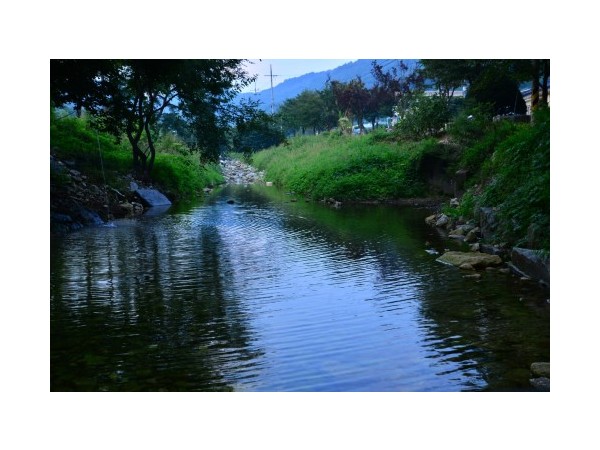 강원_진발골향기캠핑장_1.JPG?type=m500_500