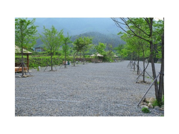 경기_은석오토캠핑장_5.jpg?type=m500_500