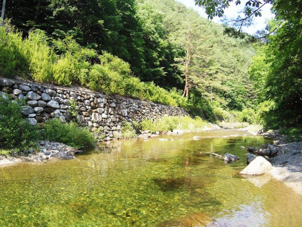 G0083023.jpg