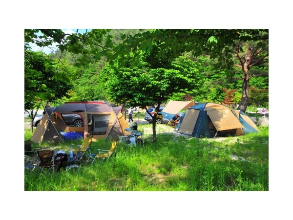 강원_오대산소금강오토캠핑장_3.jpg?type=m500_500