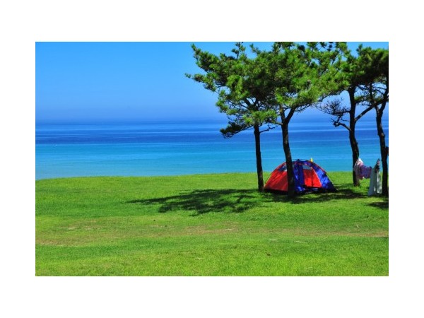 제주_모구리야영장_4.jpg?type=m500_500