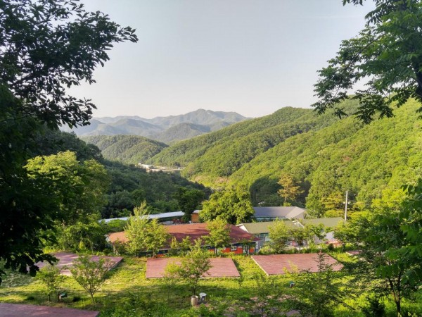 _20180528_175232_HDR.jpg