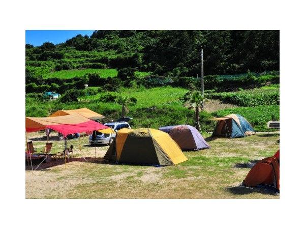 제주_모구리야영장_5.jpg?type=m500_500