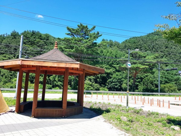 20180818_123300.jpg