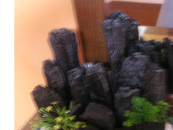 11486996_3.jpg