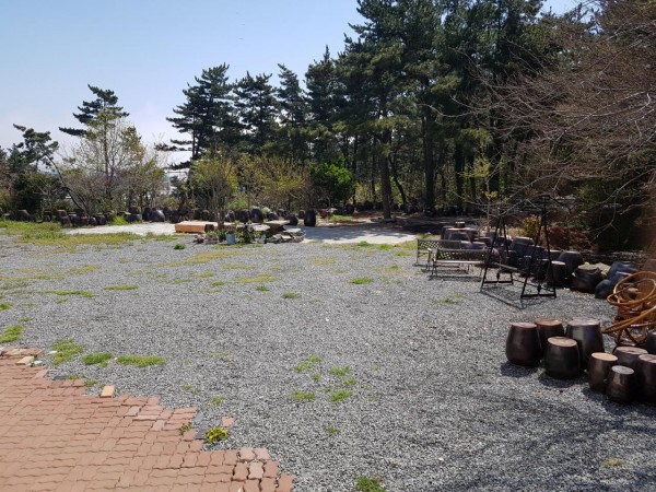 20180428_103123.jpg