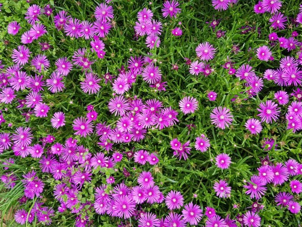 20180615_104121.jpg