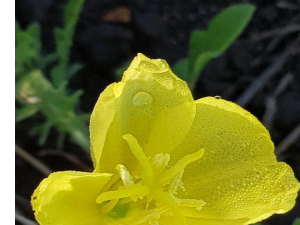 20180515_063228.jpg