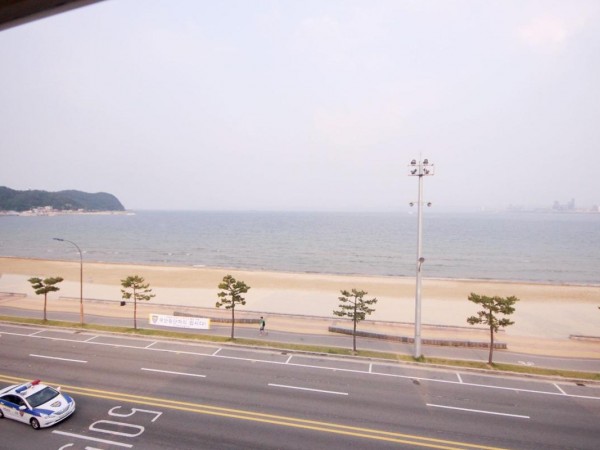 59fa832296ae24.15324454.JPG