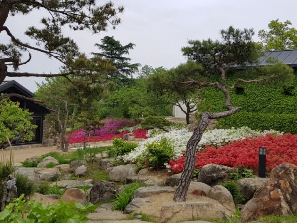 KakaoTalk_20180619_103154517.jpg