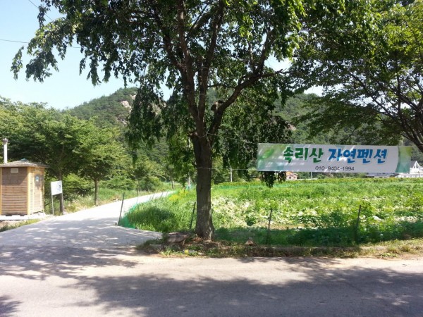 20160625_094209.jpg