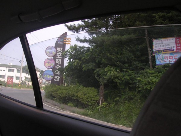 02.jpg