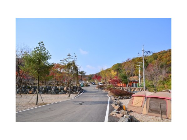 경기_김포한강오토캠핑장_1.JPG?type=m500_500