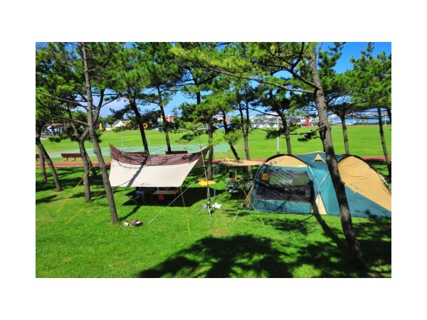 제주_모구리야영장_1.jpg?type=m500_500
