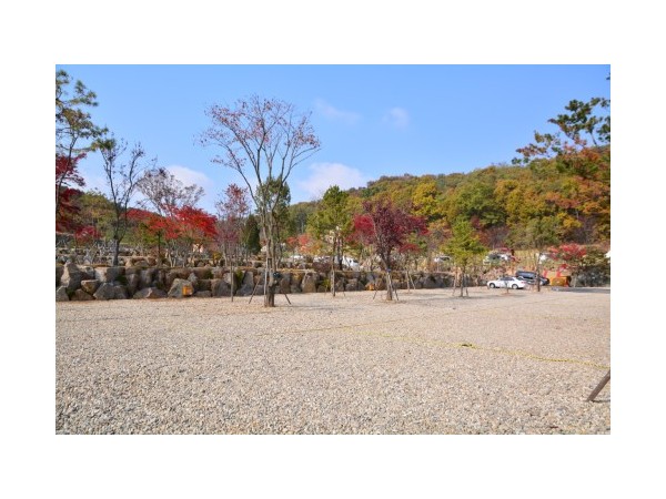 경기_김포한강오토캠핑장_11.JPG?type=m500_500