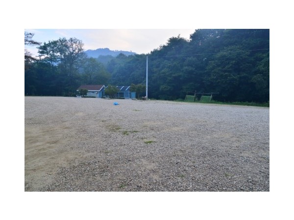강원_진발골향기캠핑장_3.JPG?type=m500_500