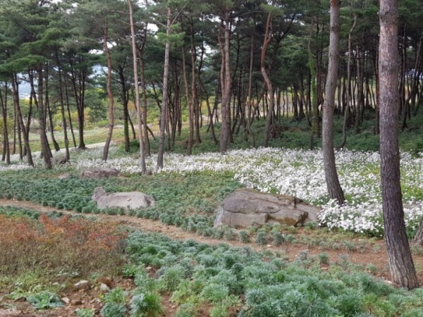 KakaoTalk_20180619_102854154.jpg