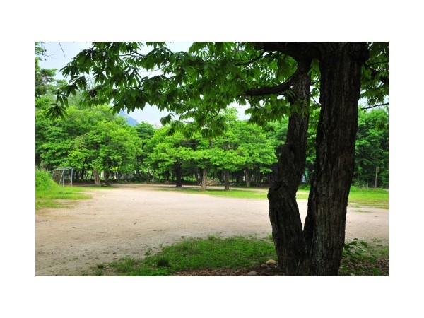 경기_송추로얄수영장캠핑장_1.jpg?type=m500_500