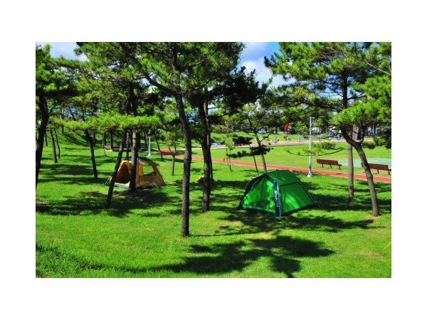 제주_모구리야영장_2.jpg?type=m500_500