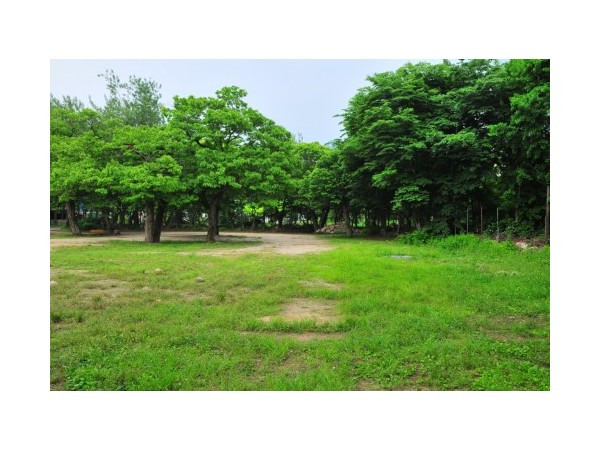 경기_송추로얄수영장캠핑장_2.jpg?type=m500_500