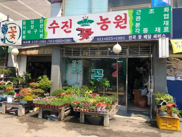 2e5UxydzIQhyO2UCIJPugm16.jpg
