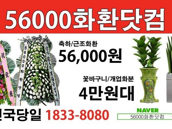 186069513079255_0.jpeg