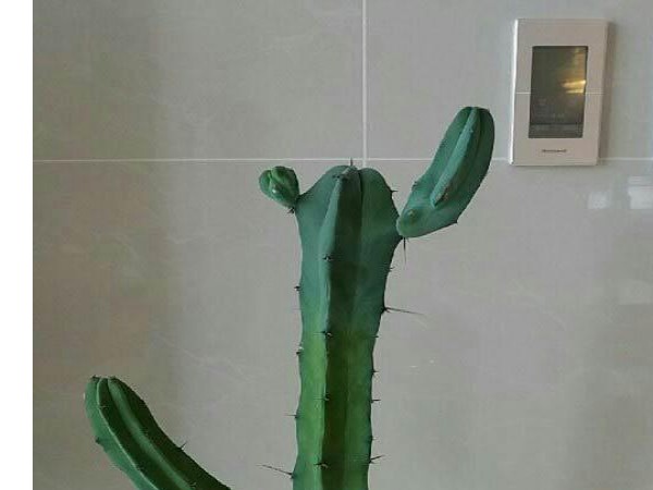 UcVSwrvlDyOZpvW1oRYVD3uX.jpg