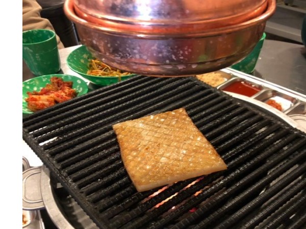 downloadfile-20.jpg