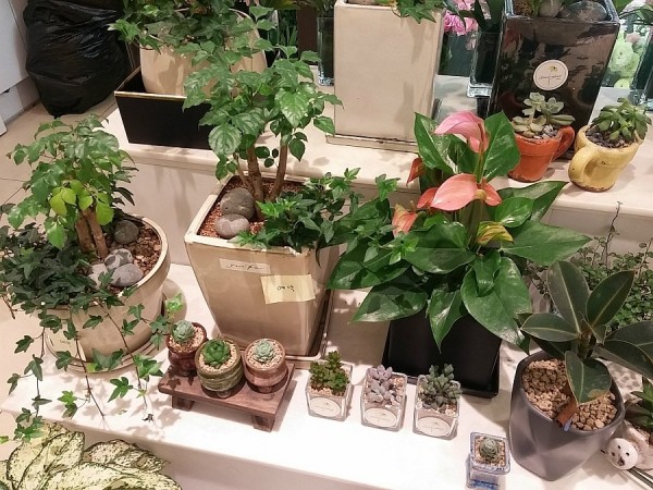 20150401_170757.jpg