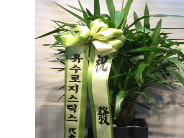 유까나무.jpg