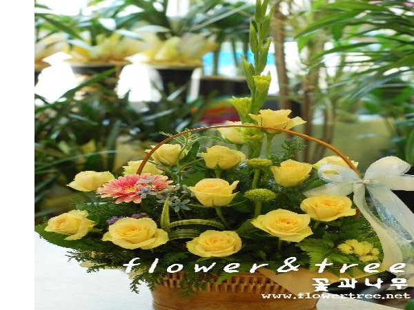 12011187_2.jpg