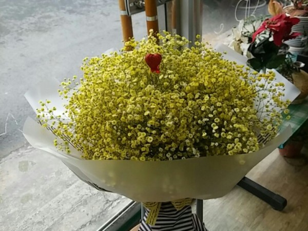 downloadfile-5.jpg