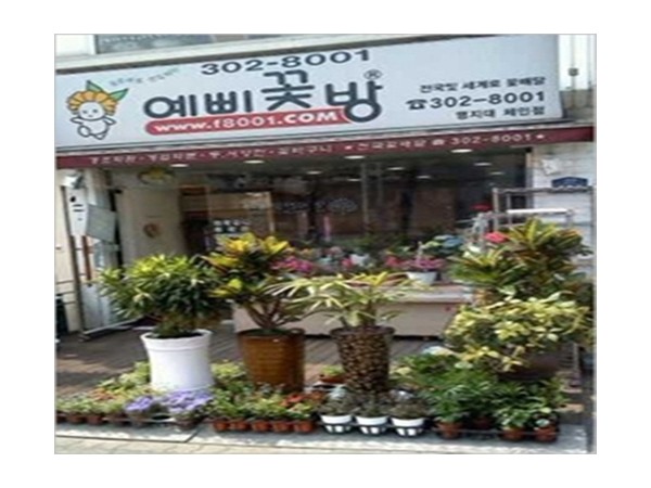 11606782_0.jpg