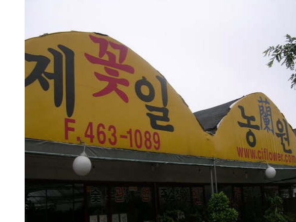 11833879_1.jpg