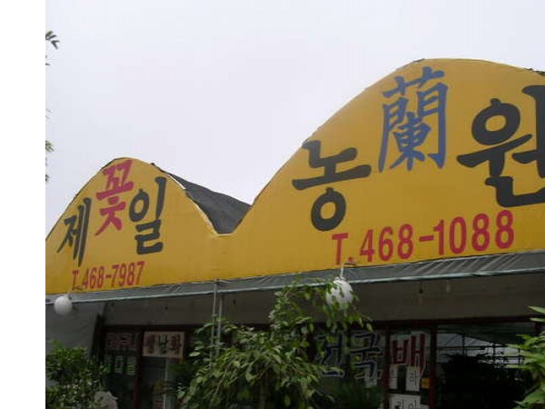 11833879_0.jpg